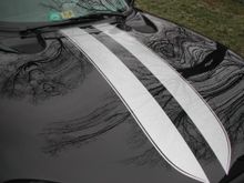 DSCN0448.JPG