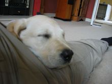 IMG_0293.JPG
