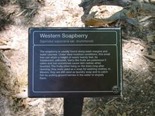 DSC00022.JPG
