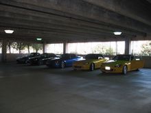 IMG_8073.JPG