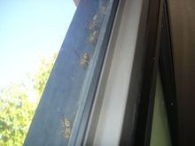 DSC03153.JPG