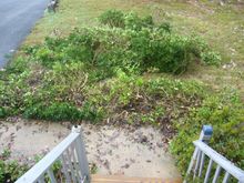 Front porch/deck
