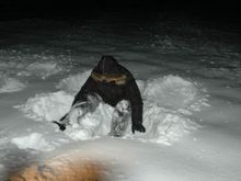 Xmas 2007 Legal Bill