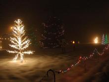 DSC_6980 071216 lights.JPG
