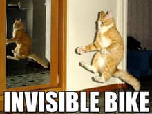 invisible bike.JPG