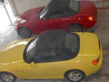 Ketchup and Mustard Prepped.jpg