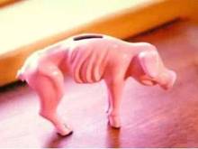 starved piggy bank.jpg