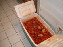 Wake the Crawfish 2008 089.JPG
