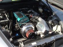 DSC01202.JPG