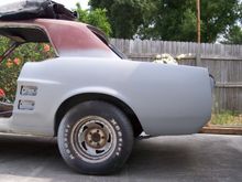 mustangs 001.JPG