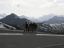 IMG_0283_1 (Large).jpg