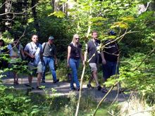 WALKING IN THE WOODS.jpg