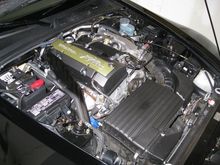 IMG_0711.jpg