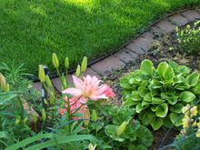 Yard Pond 2008 013.jpg