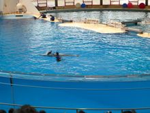 Vacation 2008 082.jpg