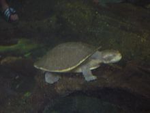 Vacation 2008 148.jpg