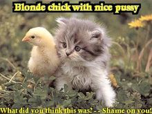 blondechickwithpussy.jpg