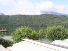 IMG_0002 (Large).JPG