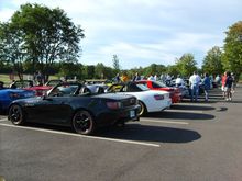 S5000623.JPG