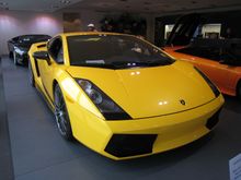 Lambo 8-16-08 017.jpg