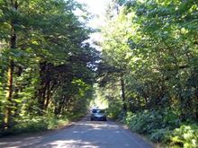 46 one lane road.jpg