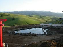 pond1noplants.JPG