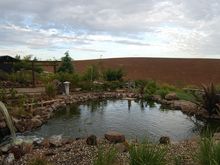8-5-08b.jpg