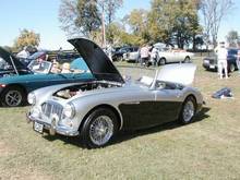 Nice Austin Healy.jpg