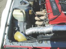 AE863.jpg