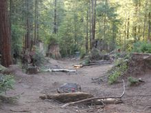 Lots of ground debris...  NO skips!  Must plop it in the