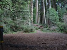 DSC_0676.JPG