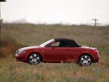 DSC_0832.JPG