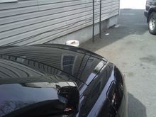 IMAG0029.jpg