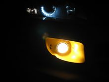 IMG_4559.JPG