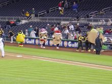 DSC00504-1.JPG