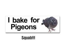 Pigeons.jpg
