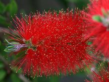 IMG_8847-1.JPG