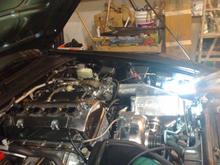 05062009143.jpg