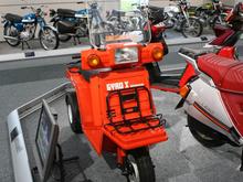 IMG_1559 (Large).JPG