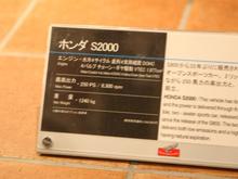 IMG_1898 (Large).JPG