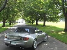 MG_8958q.JPG