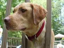 Texas Vacation 2009 031.jpg