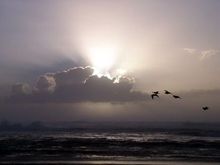 Horsefal Beach.jpg