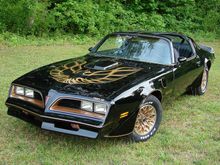 trans am.JPG