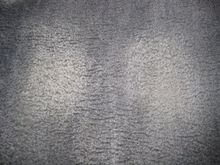 IMG_9147.JPG