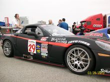 Johns pics 016.JPG