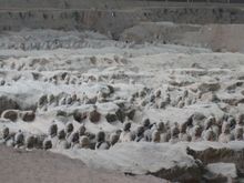 IMG_0199x.jpg