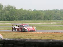 IMG_2331_renamed_17774.jpg