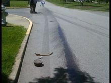 img 006.jpg