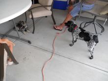 DSCN0441.JPG